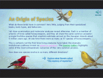Origin of Species flash piece